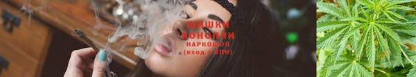 шишки Алексеевка