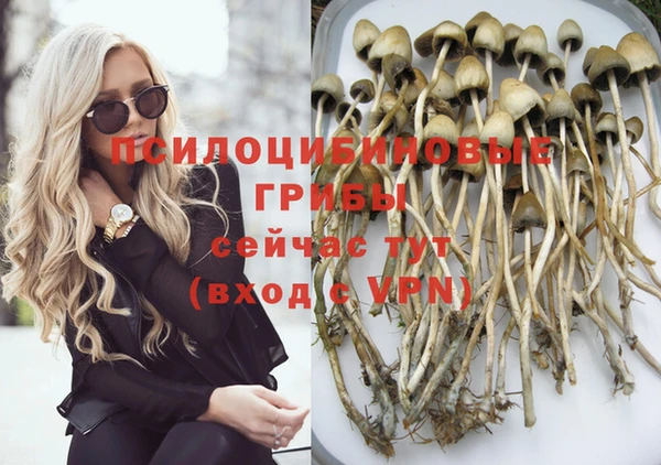 эйфоретик Алзамай