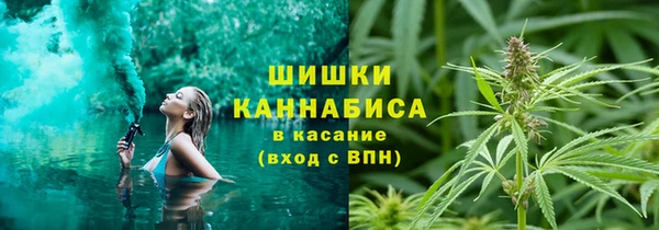 шишки Алексеевка