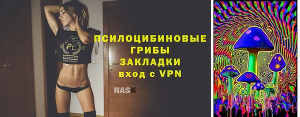 эйфоретик Алзамай